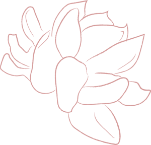 Holistic Balance roze bloem bloei