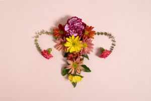 female-reproductive-system-flat-lay