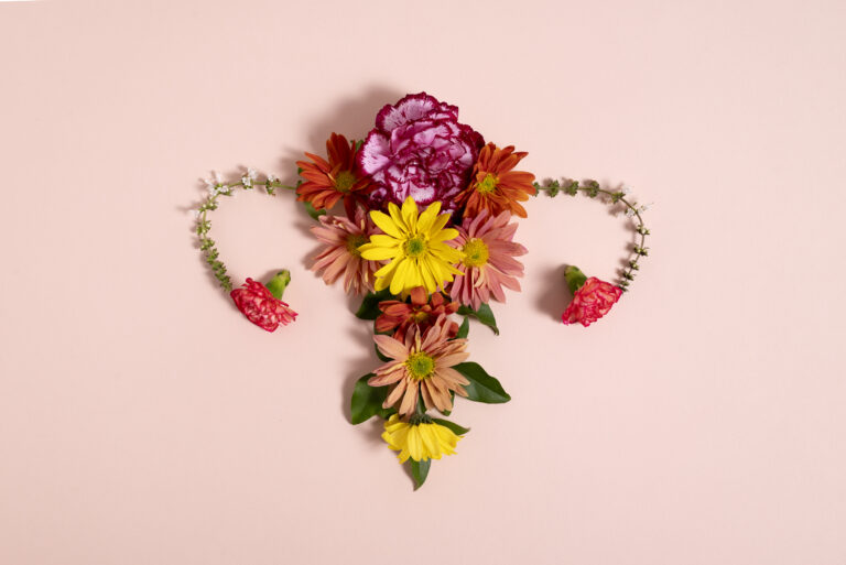 female-reproductive-system-flat-lay