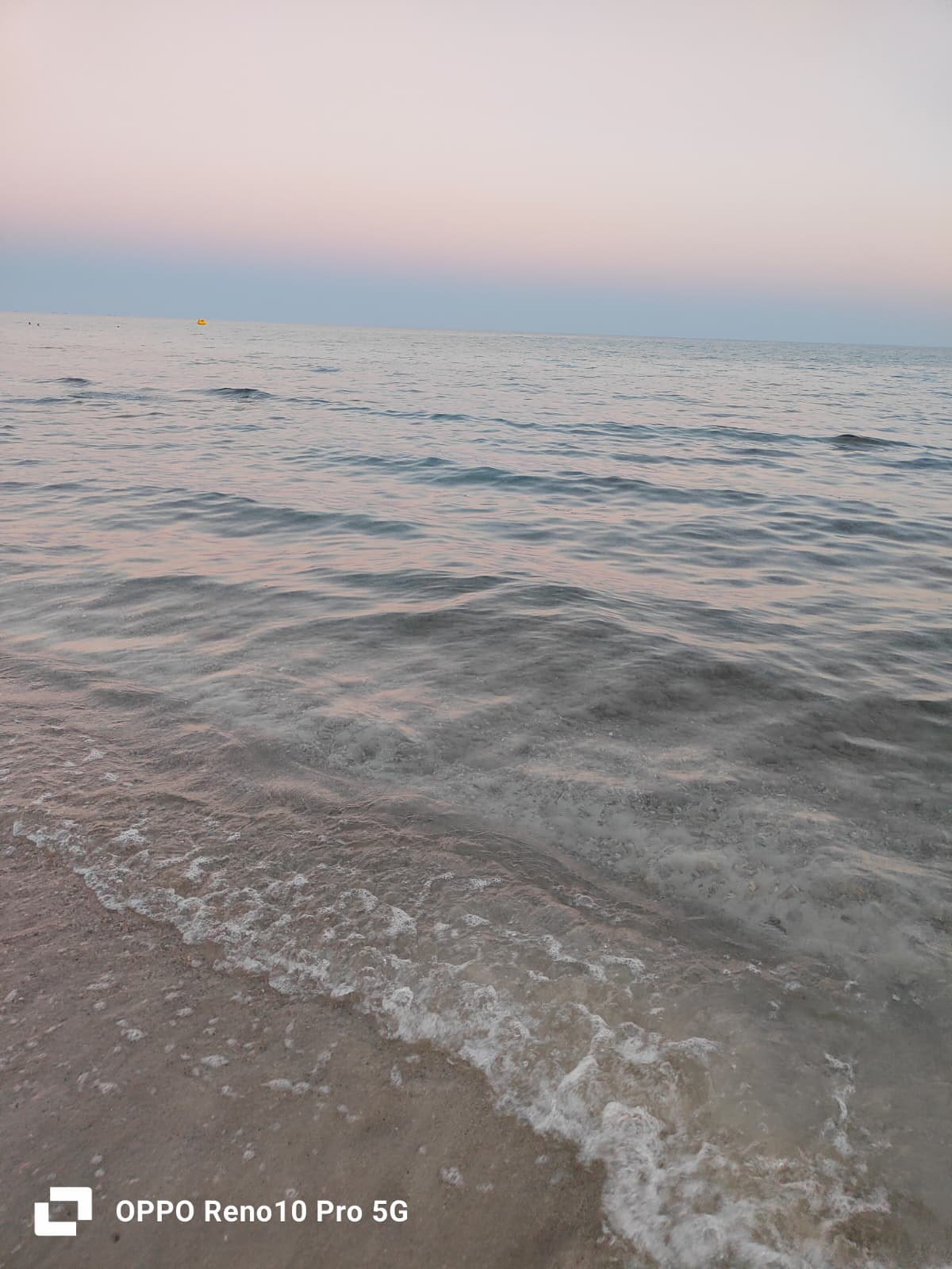 De zee